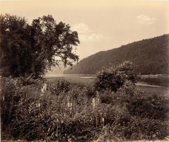 William Herman Rau - The Susquehanna at Wyalusing