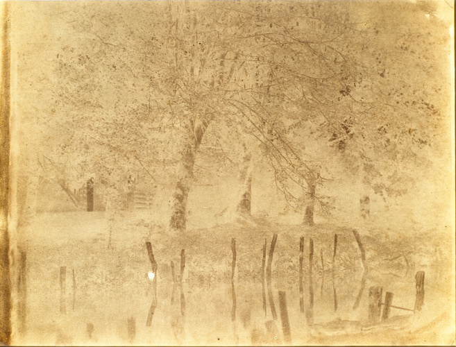 Adolphe Humbert de Molard - Arbres au bord d'un cours d'eau