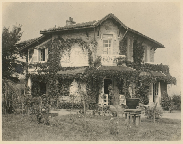 Façade de villa et plantes rampantes au mur
