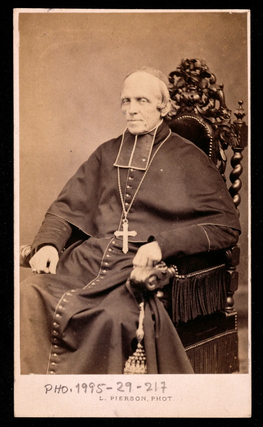 Pierre-Louis Pierson - Cardinal de Bonnechose