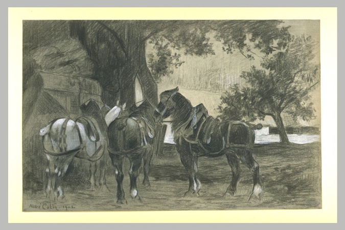 André Colin - Trois chevaux près d'un arbre