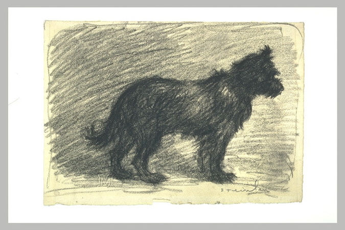 Théophile Alexandre Steinlen - Etude de chien, de profil à droite