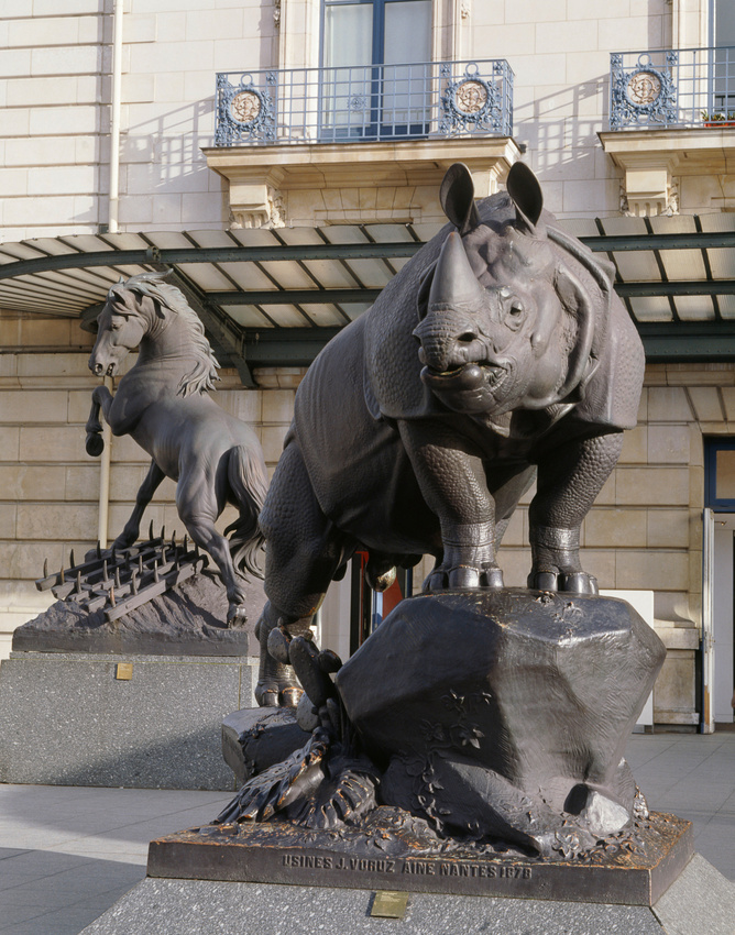 Alfred Jacquemart - Rhinocéros