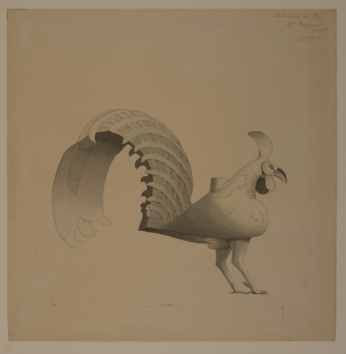 Maison Monduit - Cathédrale du Puy-en-Velay, coq de clocher profil vers la droit...