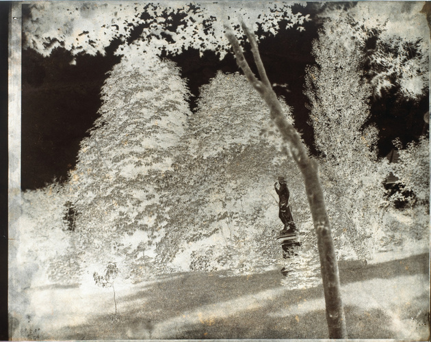Louis Robert - Arbres du parc de Saint-Cloud et statue