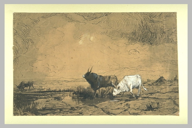 Camille Adrien Paris - Taureaux dans la campagne romaine