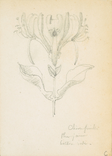 Victor Ruprich-Robert - Chèvrefeuille