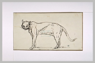 Théophile Alexandre Steinlen - Chat debout de profil à gauche