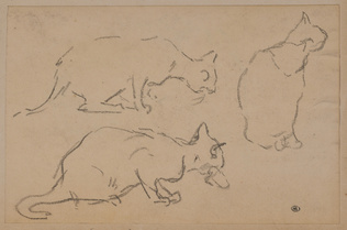 Théophile Alexandre Steinlen - Trois chats dont un assis, de dos