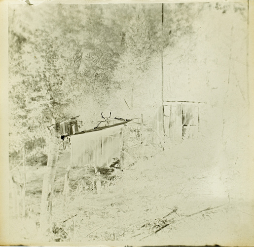 Paul Burty Haviland - Gibiers morts, dans la forêt