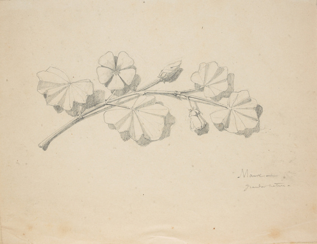 Victor Ruprich-Robert - Mauve