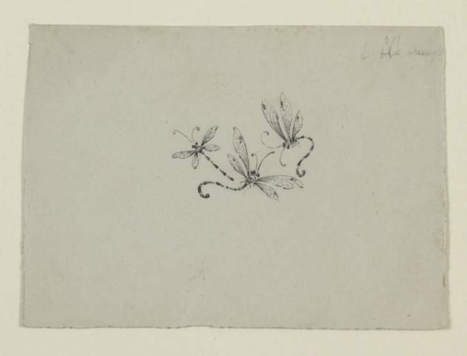Emile Gallé - Modèle de décor pour la céramique et la verrerie : trois libellule...