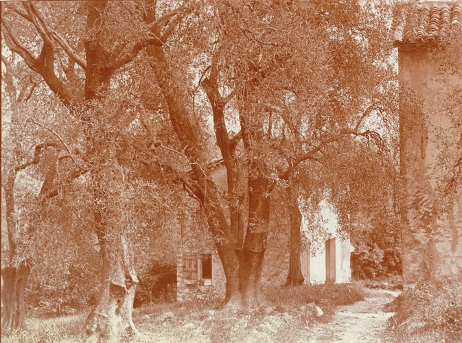 Une maison dans les arbres, en Provence ? - Charles Augustin Lhermitte