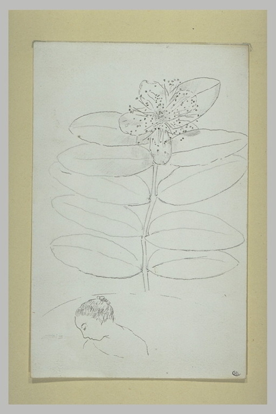 Odilon Redon - Branche de mille-pertuis et tête de femme