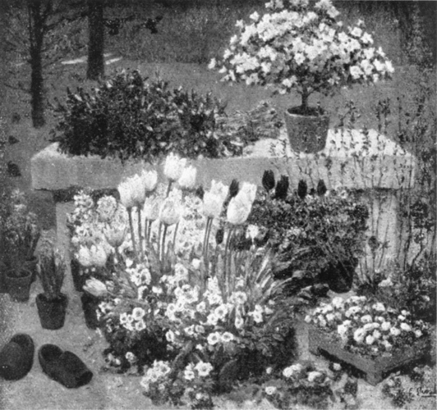 Ernest Quost - Fleurs à planter