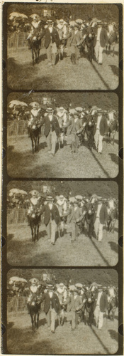 Auguste Lumière - Plaque 42, film 553, course d'âne I, présentation des ânes