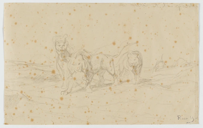 Rosa Bonheur - Un lion et deux lionnes marchant de face