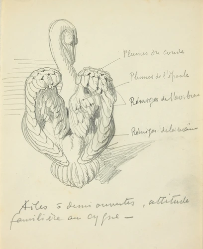 Eugène Grasset - Cygne à ailes à demi-ouvertes