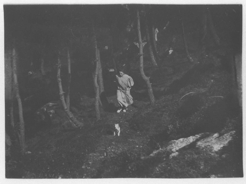 Henri Rivière - Madame Rivière de face, marchant avec son chien dans un paysage ...