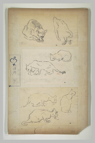 Théophile Alexandre Steinlen - Trois chats dont un assis, de dos
