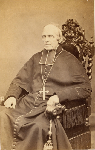 Pierre-Louis Pierson - Cardinal de Bonnechose