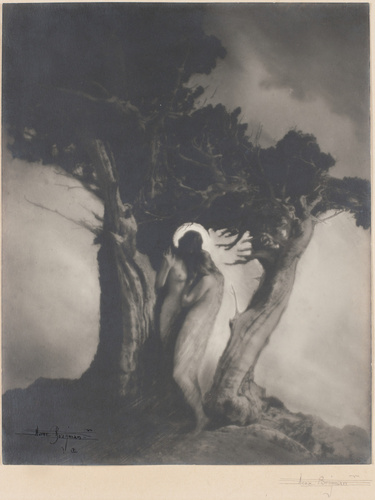 Anne Brigman - The Heart of the Storm