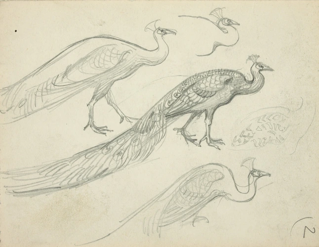 Eugène Grasset - Paons de profil