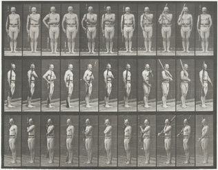 Eadweard Muybridge - Homme au garde-à-vous