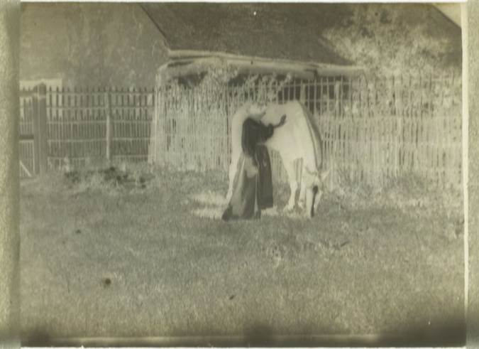 Pierre Bonnard - Marthe caressant le cheval