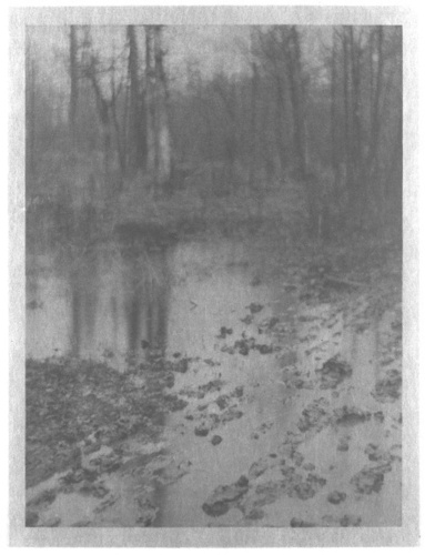 Edward Steichen - The Pool
