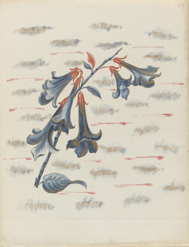 Louis Hestaux - Campanules