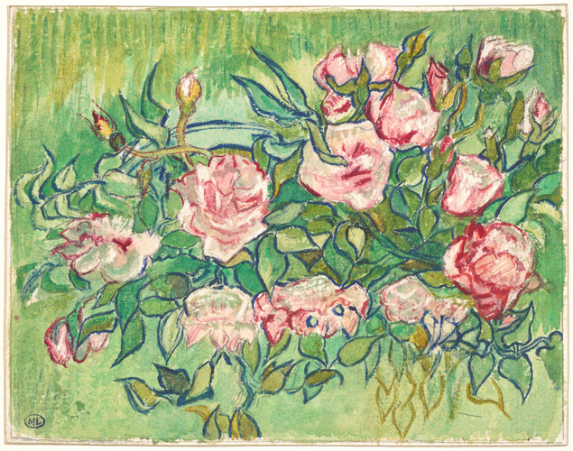 Blanche Derousse - Massif de roses sur fond de verdure