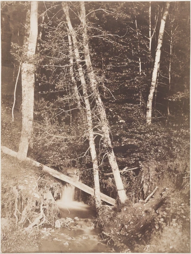 Henri Le Secq - Ruisseau en forêt (Montmirail)