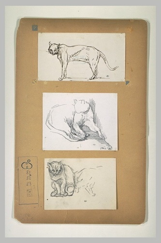 Théophile Alexandre Steinlen - Chat assis, de face, et croquis inachevé d'un aut...