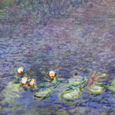 Musée de l’Orangerie - ambiance