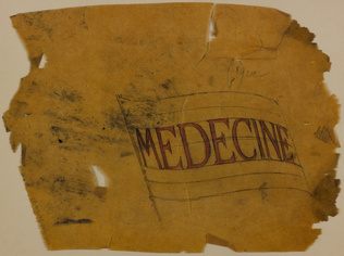 Charles Lameire - Sorbonne, salle des comités, phylactère de la Médecine