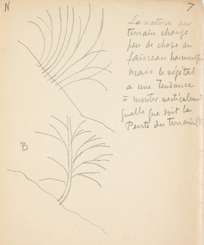 Eugène Grasset - Arbres en pente