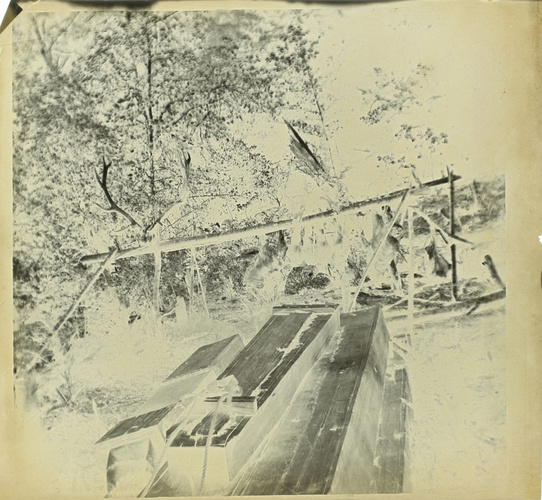 Paul Burty Haviland - Gibiers morts, dans la forêt