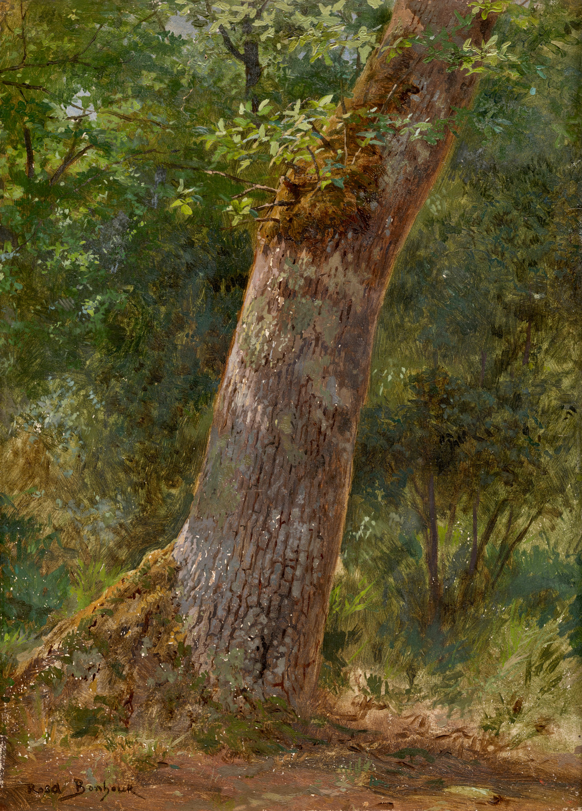 Rosa Bonheur, Paysage, étude d'arbres
