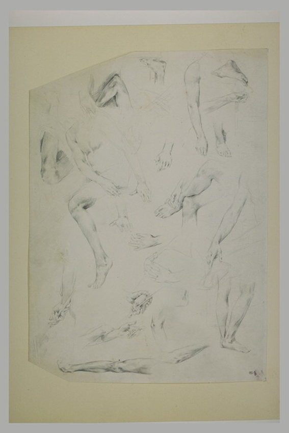 Mariano Fortuny y de Madrazo - Feuille d'études de bras, jambes, et mains dans d...