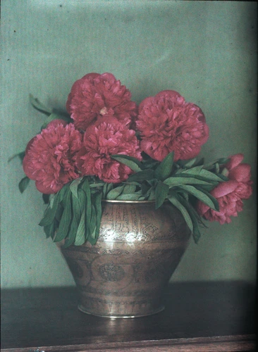 Anonyme - Vase en cuivre et pivoines