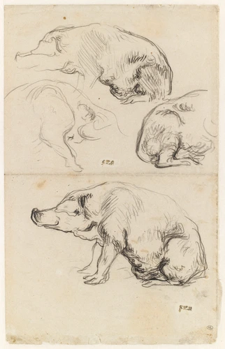 Jean-François Millet - Quatre études de cochons