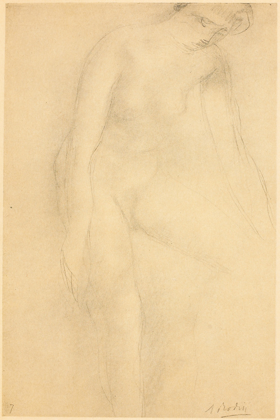 Anonyme - Drawing by Auguste Rodin