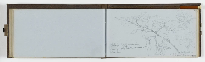 William Bouguereau - Etude d'une branche d'arbre et de feuilles ; annotations ma...