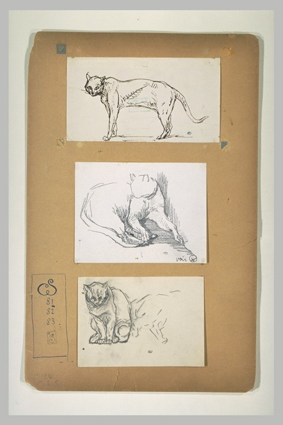 Théophile Alexandre Steinlen - Chat assis, de face, et croquis inachevé d'un aut...