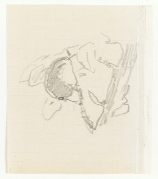Edouard Manet - Croquis indistinct