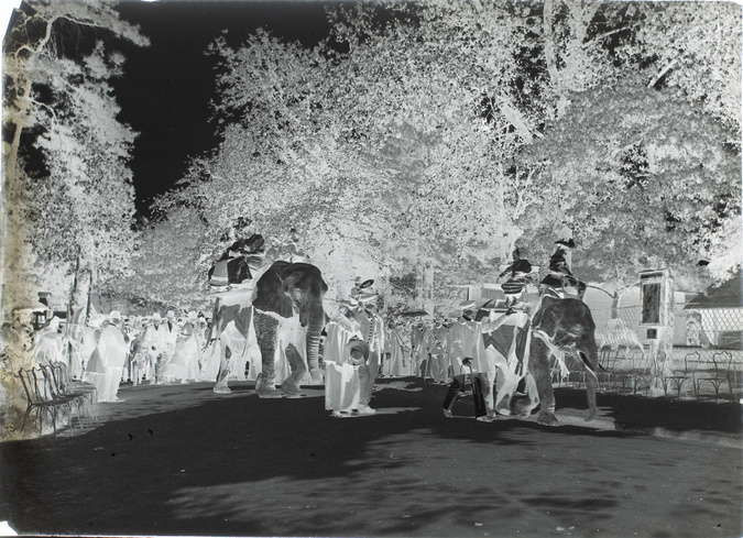 Henri Lemoine - Deux éléphants et promeneurs, jardin d'acclimatation