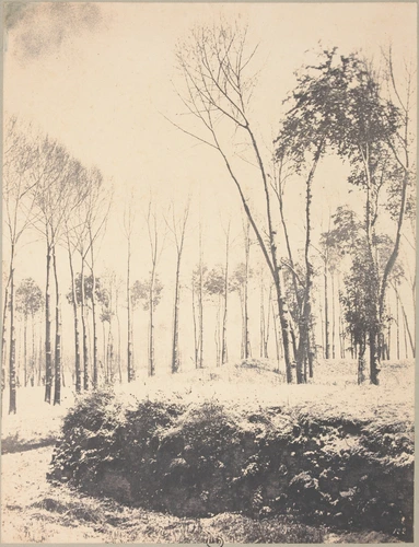 Eugène Cuvelier - Fontainebleau sous la neige, vers 1860
