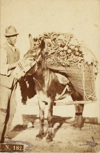 Giorgio Conrad - Paysan avec son âne