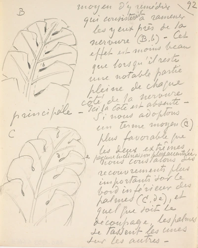 Eugène Grasset - Feuille à nervures